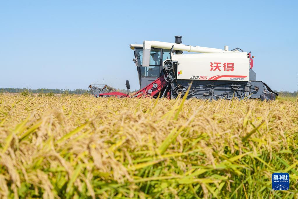 聚友娱乐